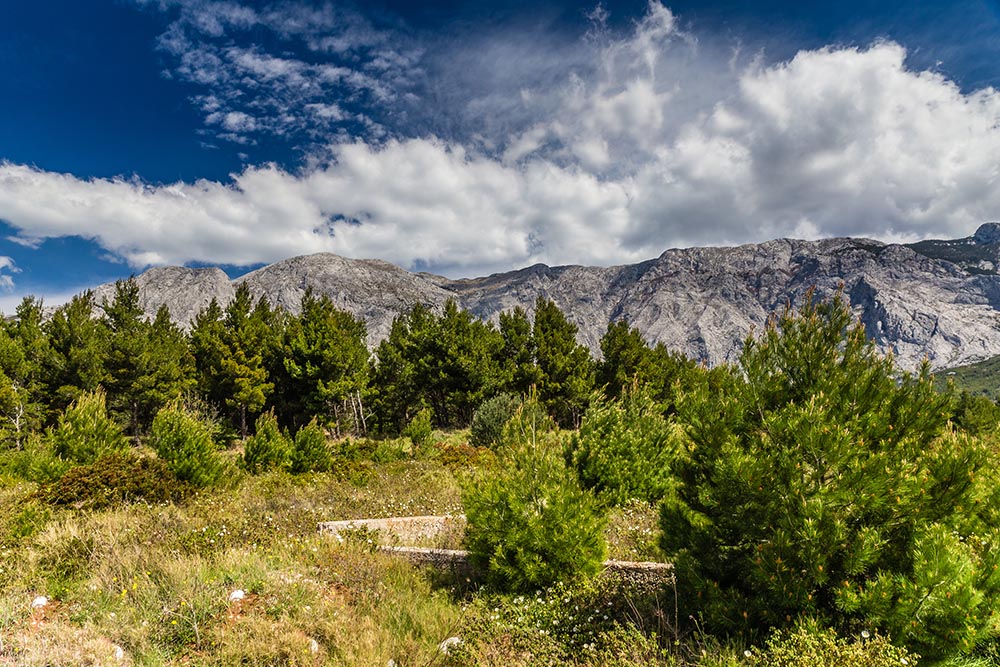 Wandern vom Makarska bis zum Sv. Jure