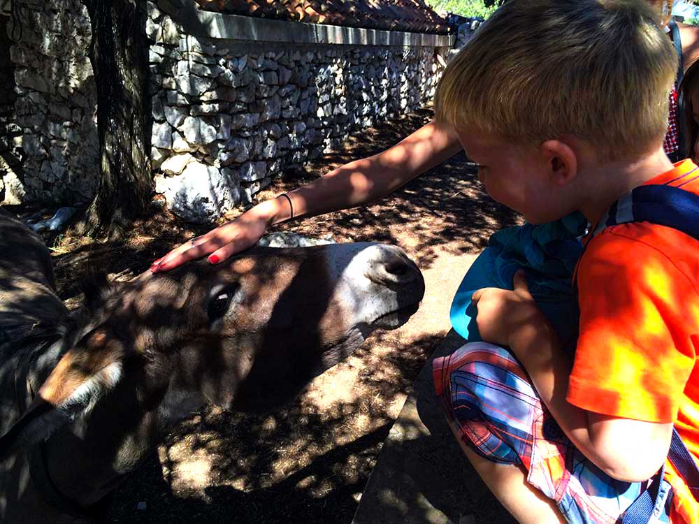 Kinder und Erwachsene geniessen ihre Zeit im Natur - Esel freut sich
